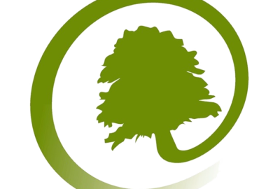 Valorisation Bois Energie | VBE | Entreprise de Recyclage de Bois